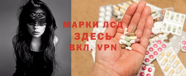 ПСИЛОЦИБИНОВЫЕ ГРИБЫ Белокуриха