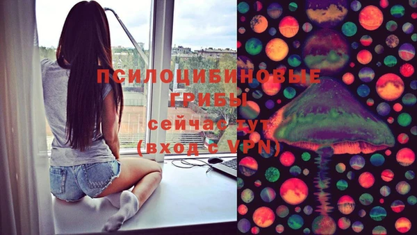 ПСИЛОЦИБИНОВЫЕ ГРИБЫ Белокуриха